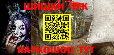 индика Заводоуковск