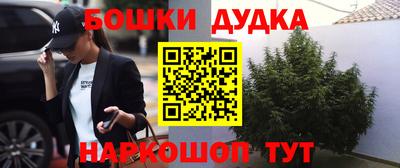 индика Заводоуковск