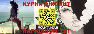 индика Заводоуковск