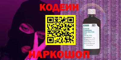 индика Заводоуковск
