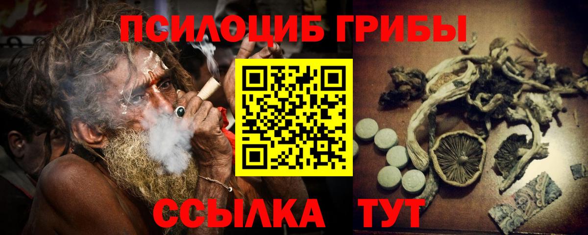 Галлюциногенные грибы Magic Shrooms  Вход с VPN  Галлюциногенные грибы Psilocybine cubensis  Вольск 